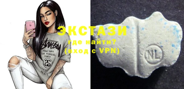 ECSTASY Богородицк